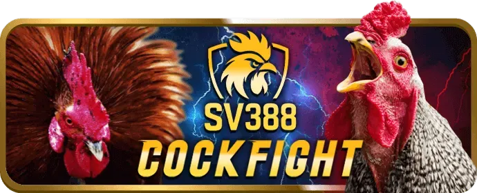 Thưởng và Hoàn Trả Cao Cấp